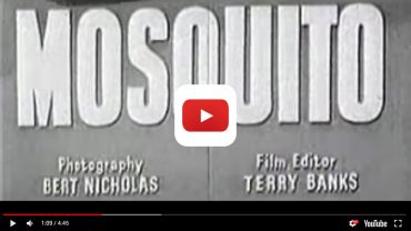 video_mosquito_manufacture