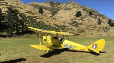 Dave Welch Wellsford