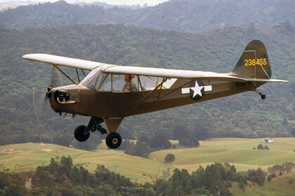 L4 Grasshopper Gilly 001 small
