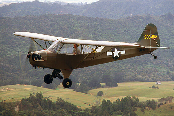 L4 Grasshopper Gilly 001 small